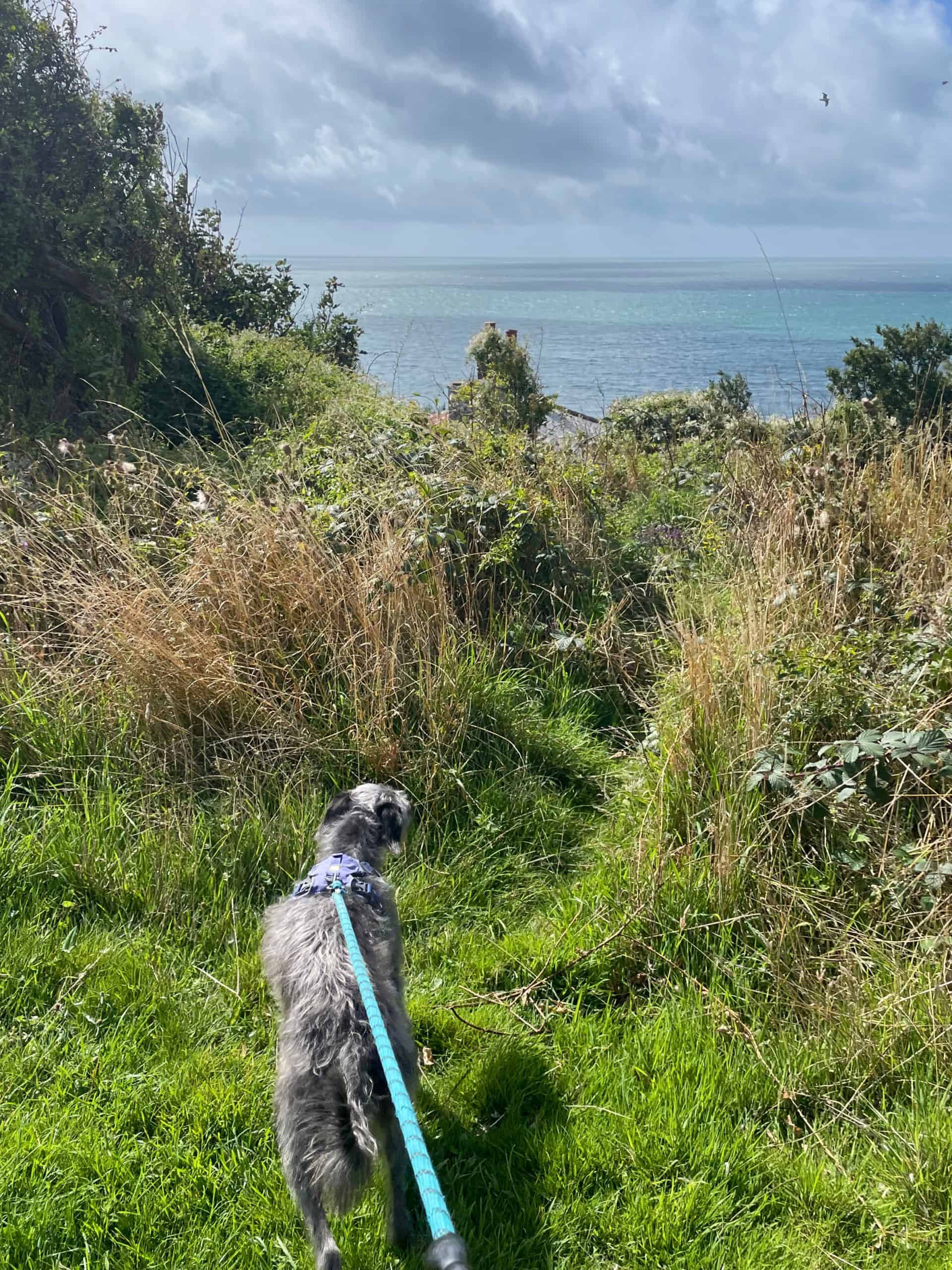 View of the sea from Hastings cliffs