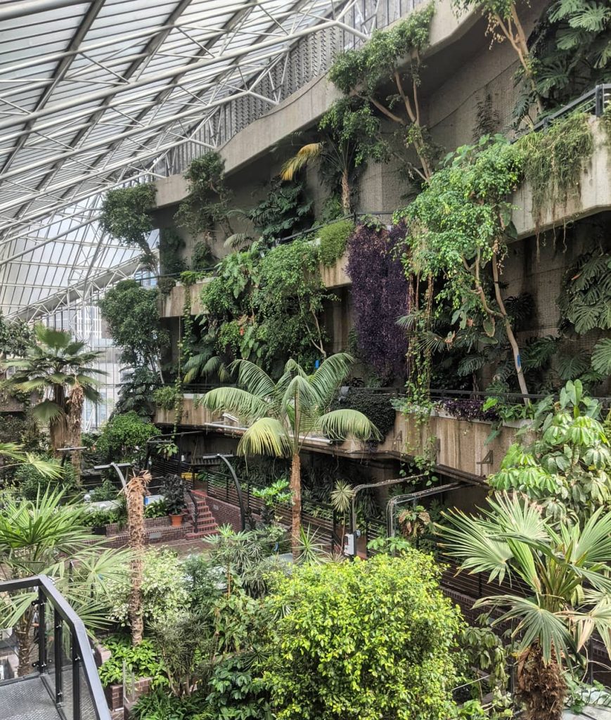 The Barbican Conservatory