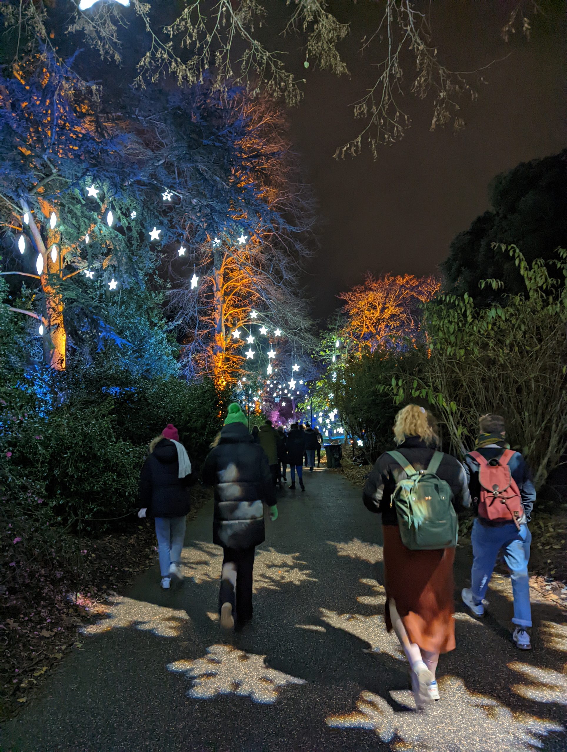 Kew Gardens Christmas light trail