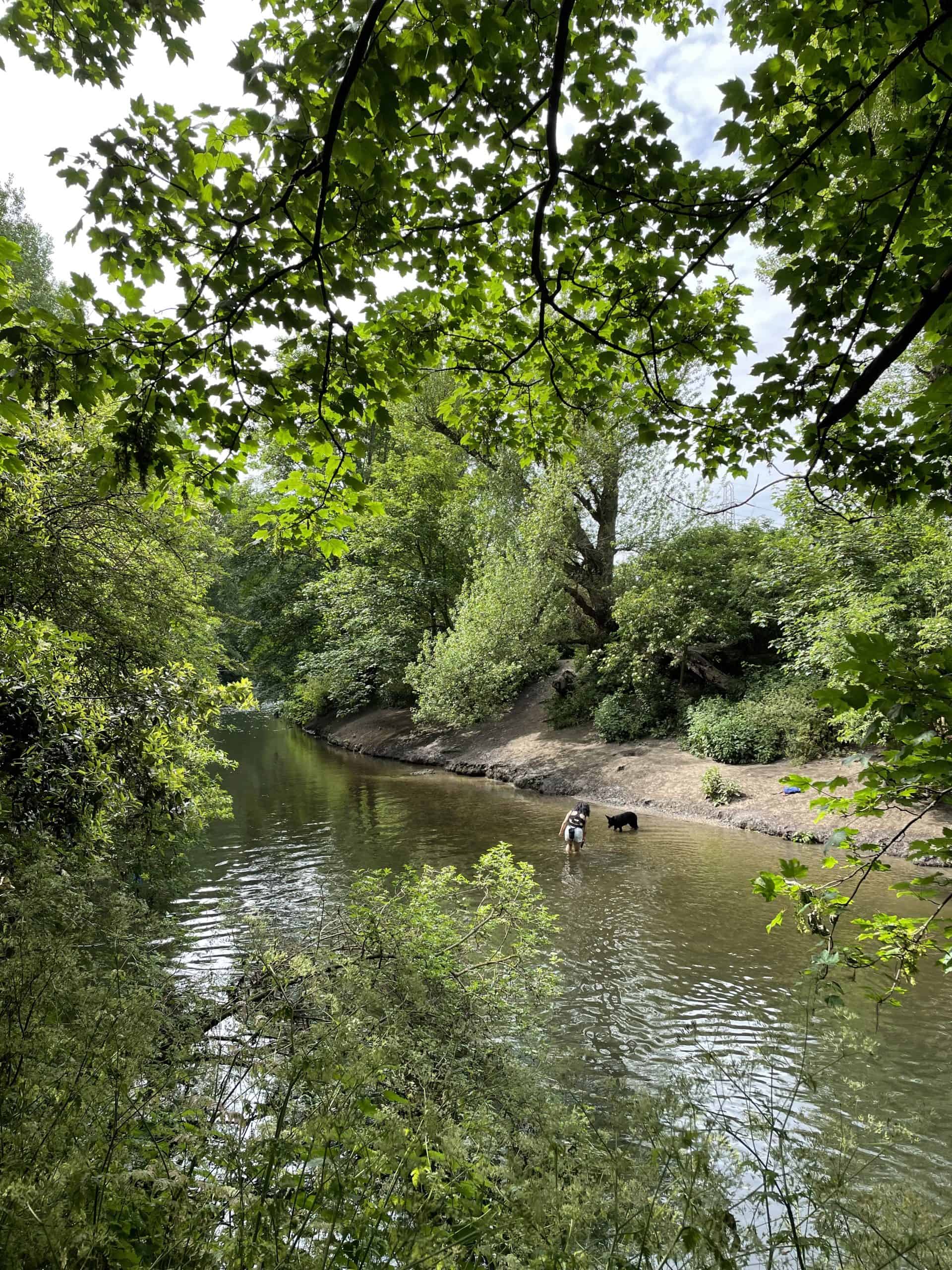 The River Lee in Hackney Marshes
