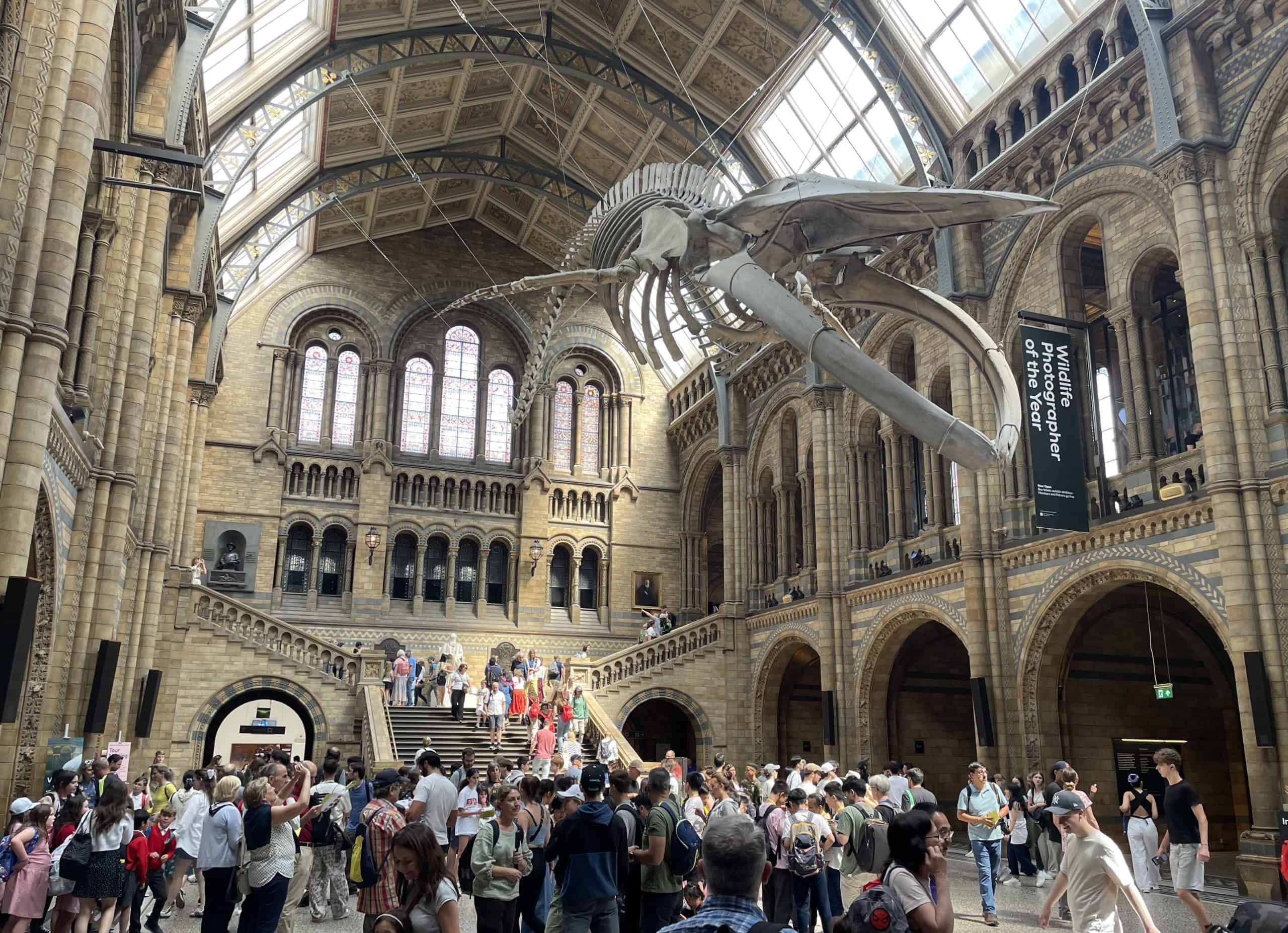 The main hall in the Natural History Museum 