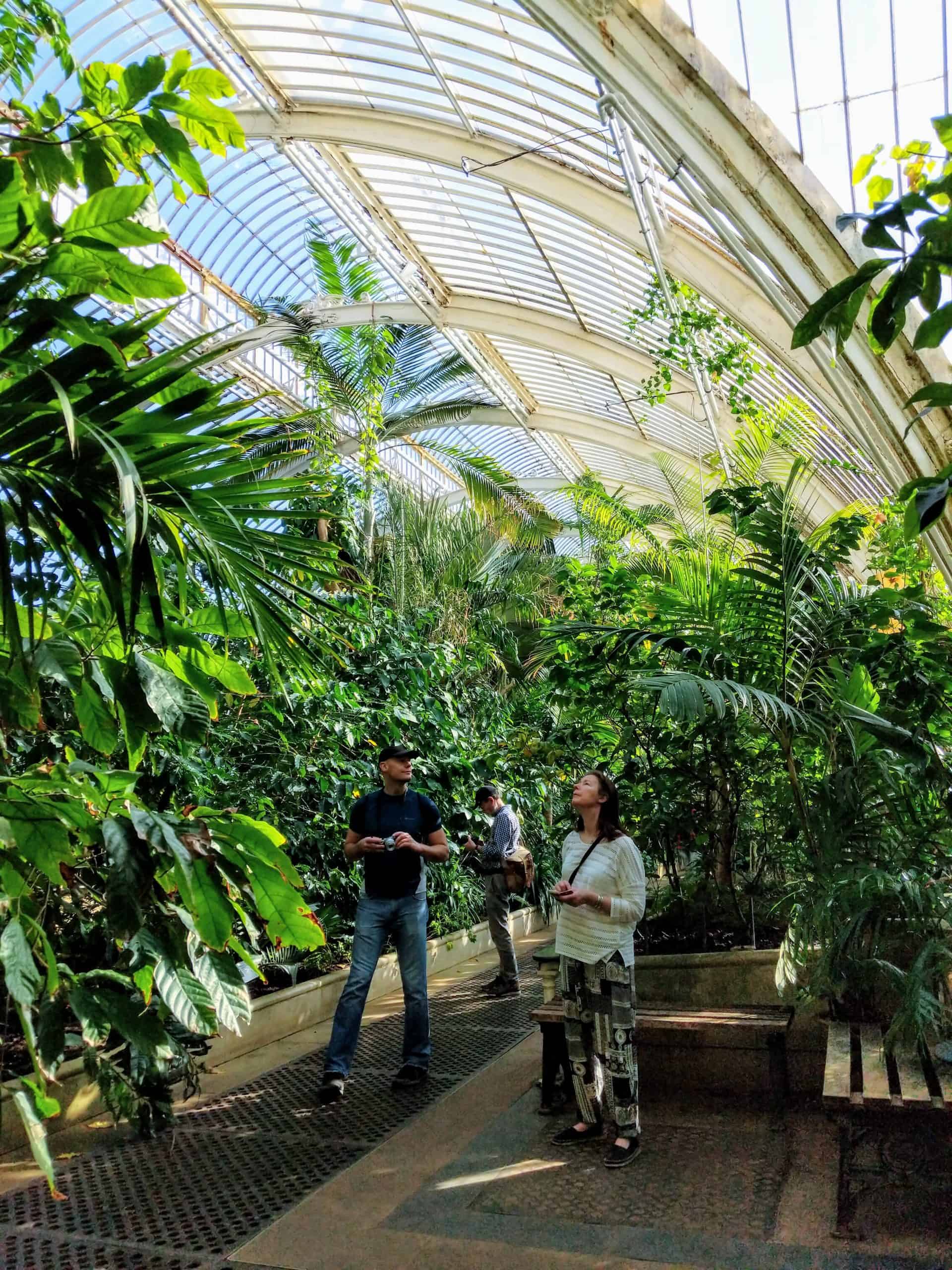 One of the greenhouses in Kew Gardens