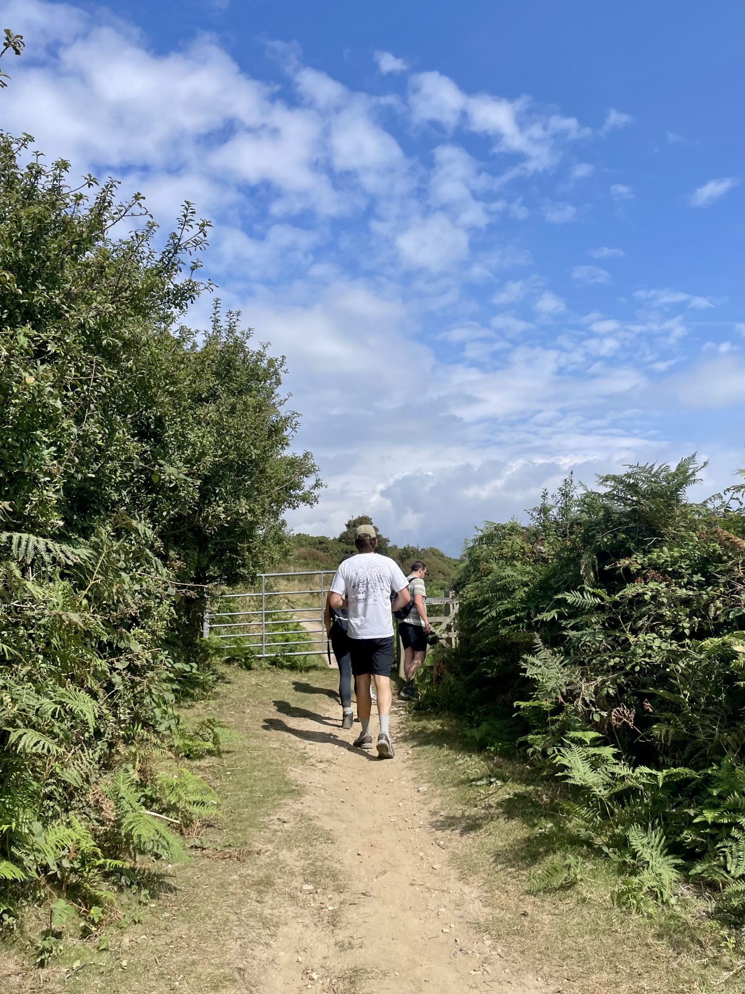Hastings to Rye Walk: What to Expect, Best Route + Map - London Localite