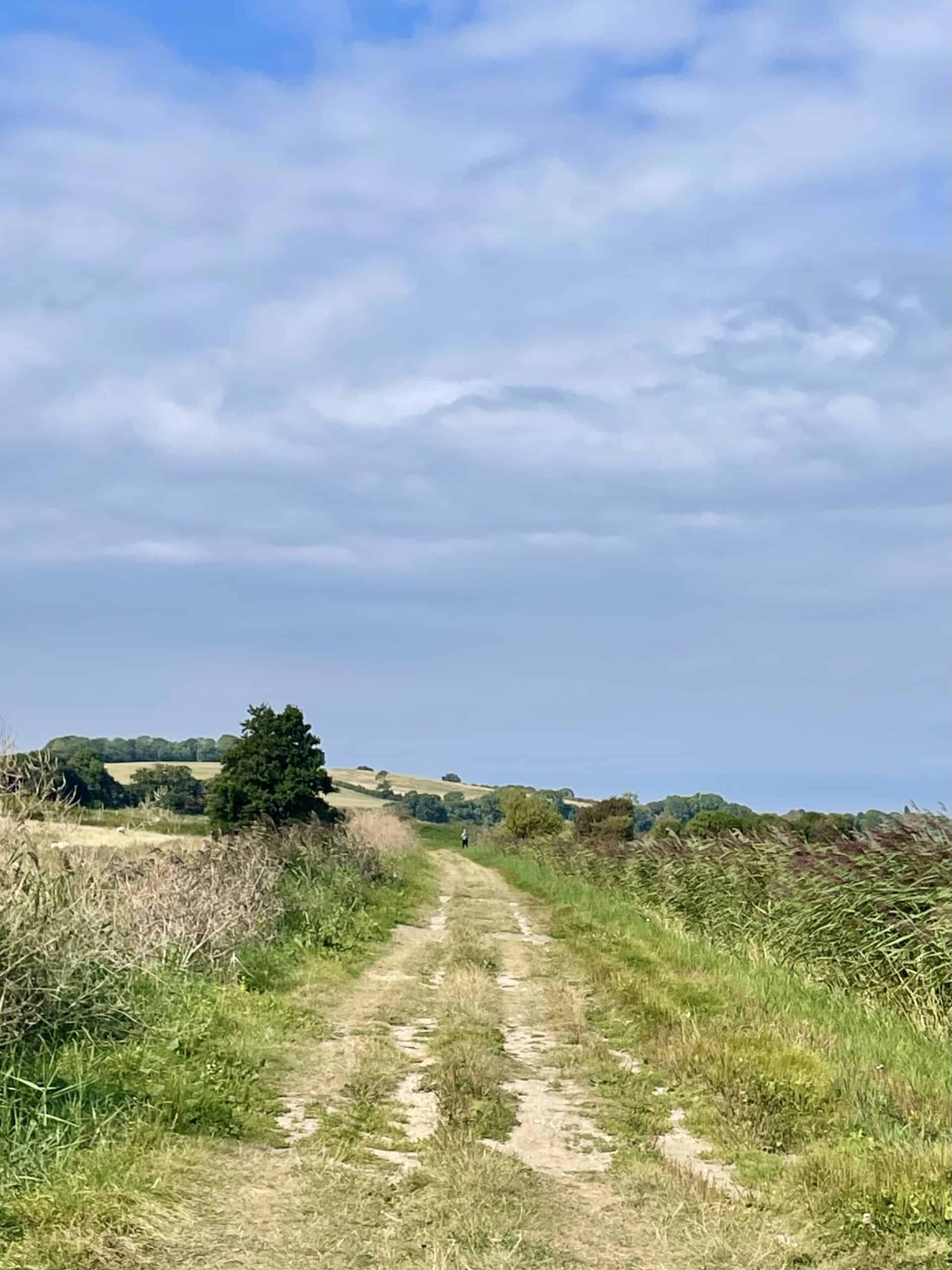 Fields by the Royal Military Canal before you reach Rye