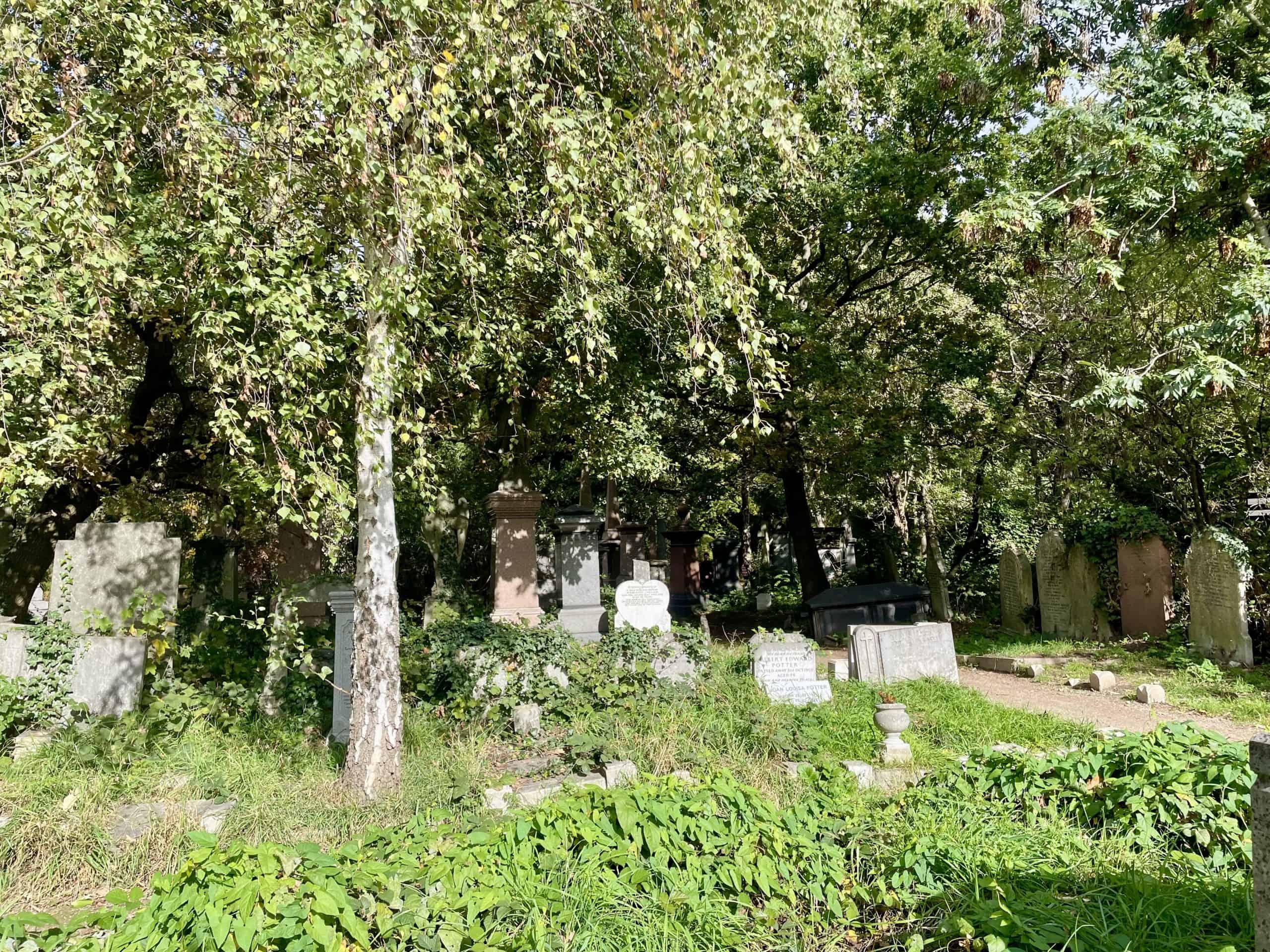Abney Park Cemetery on Stoke Newington Church Street