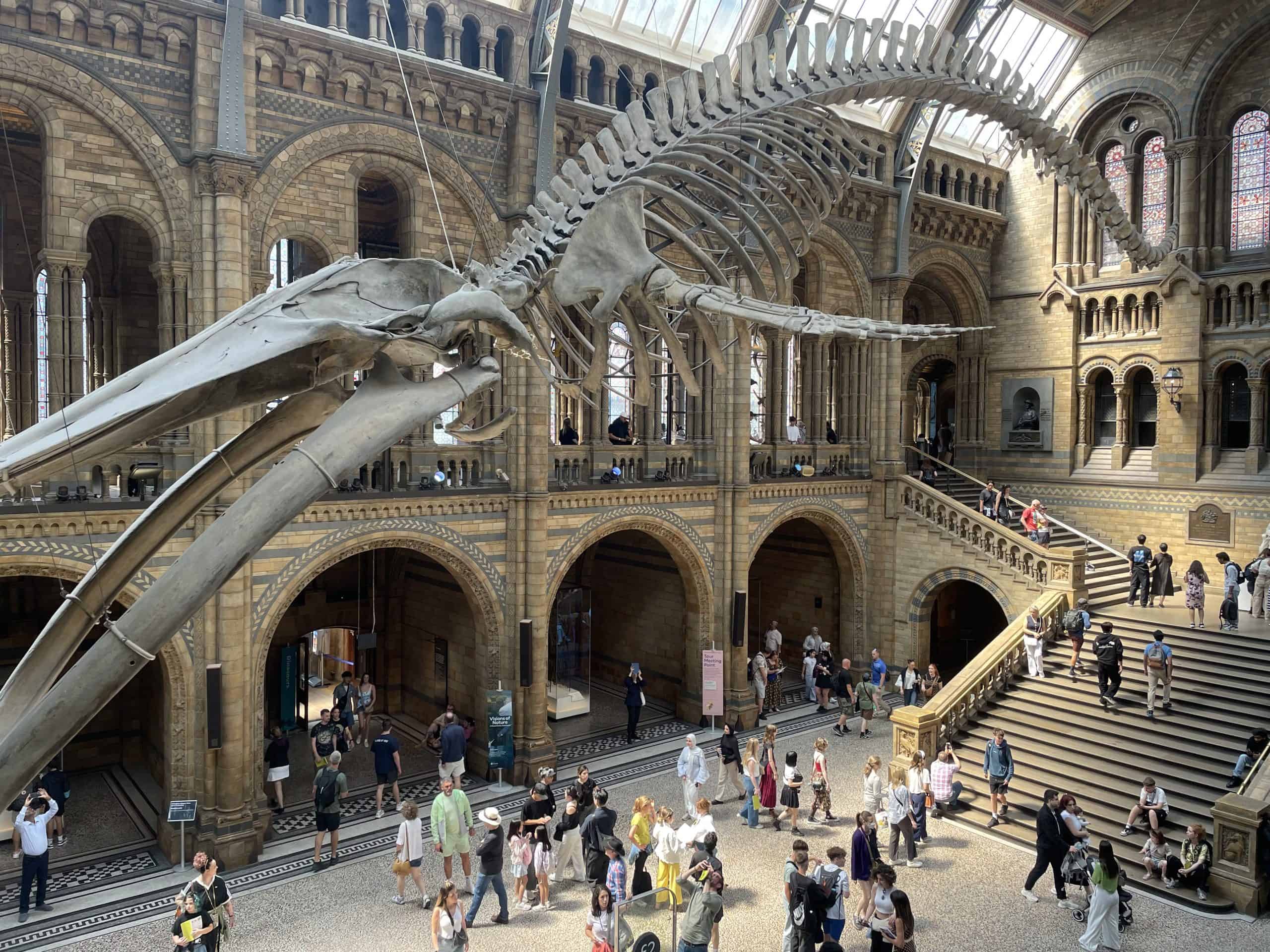 The Natural History Museum in London, a perfect rainy day activity.