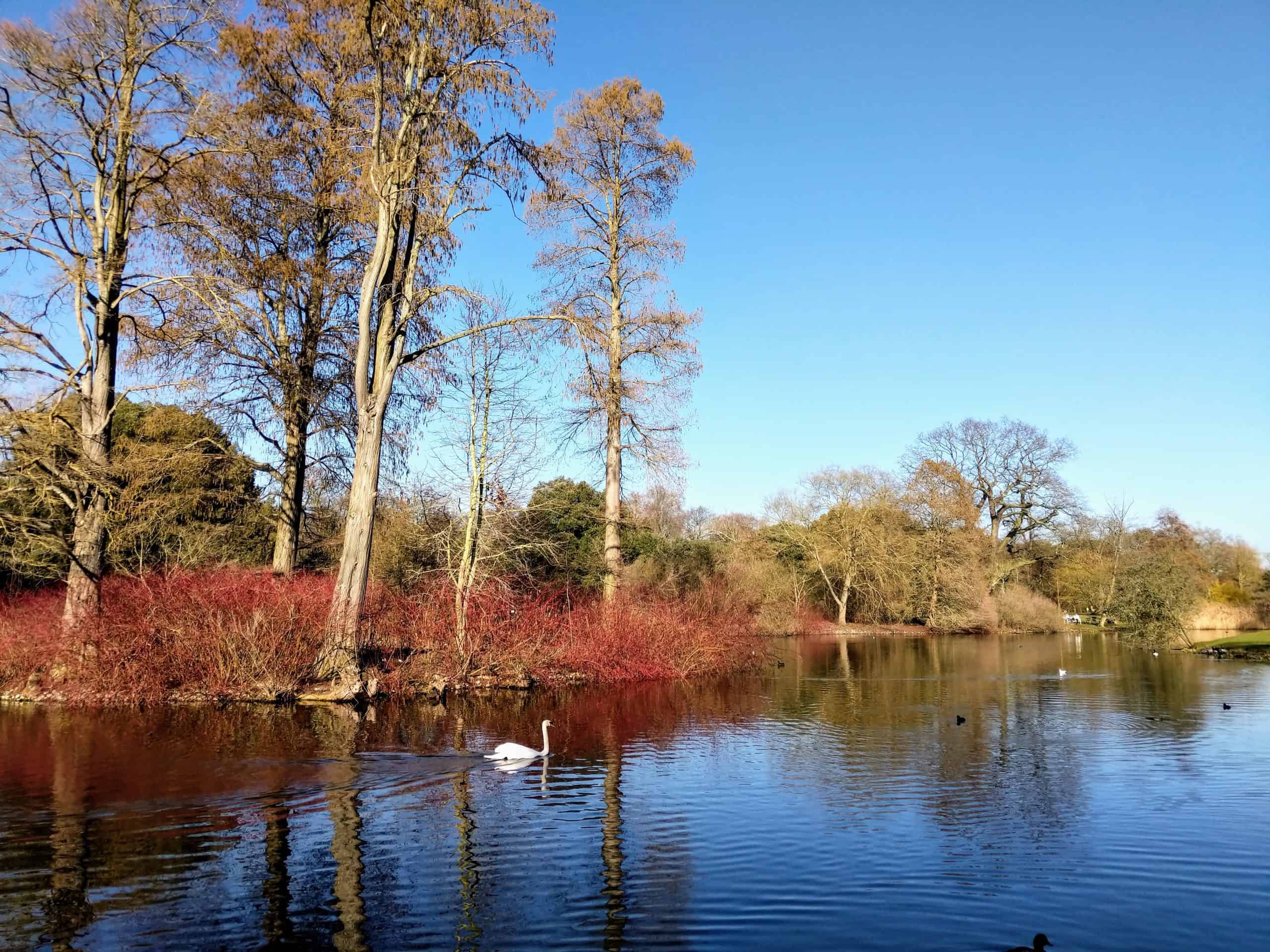 One of the lakes at Kew Gardens