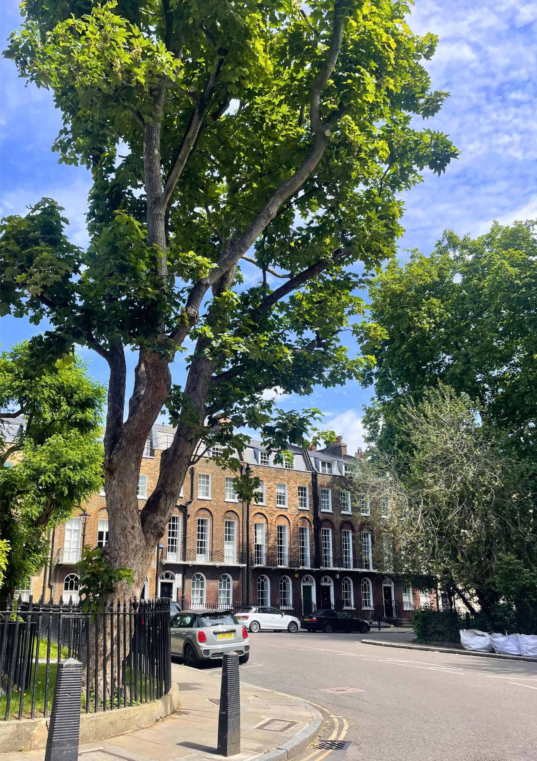 Living in London - Townhouses and blue skies